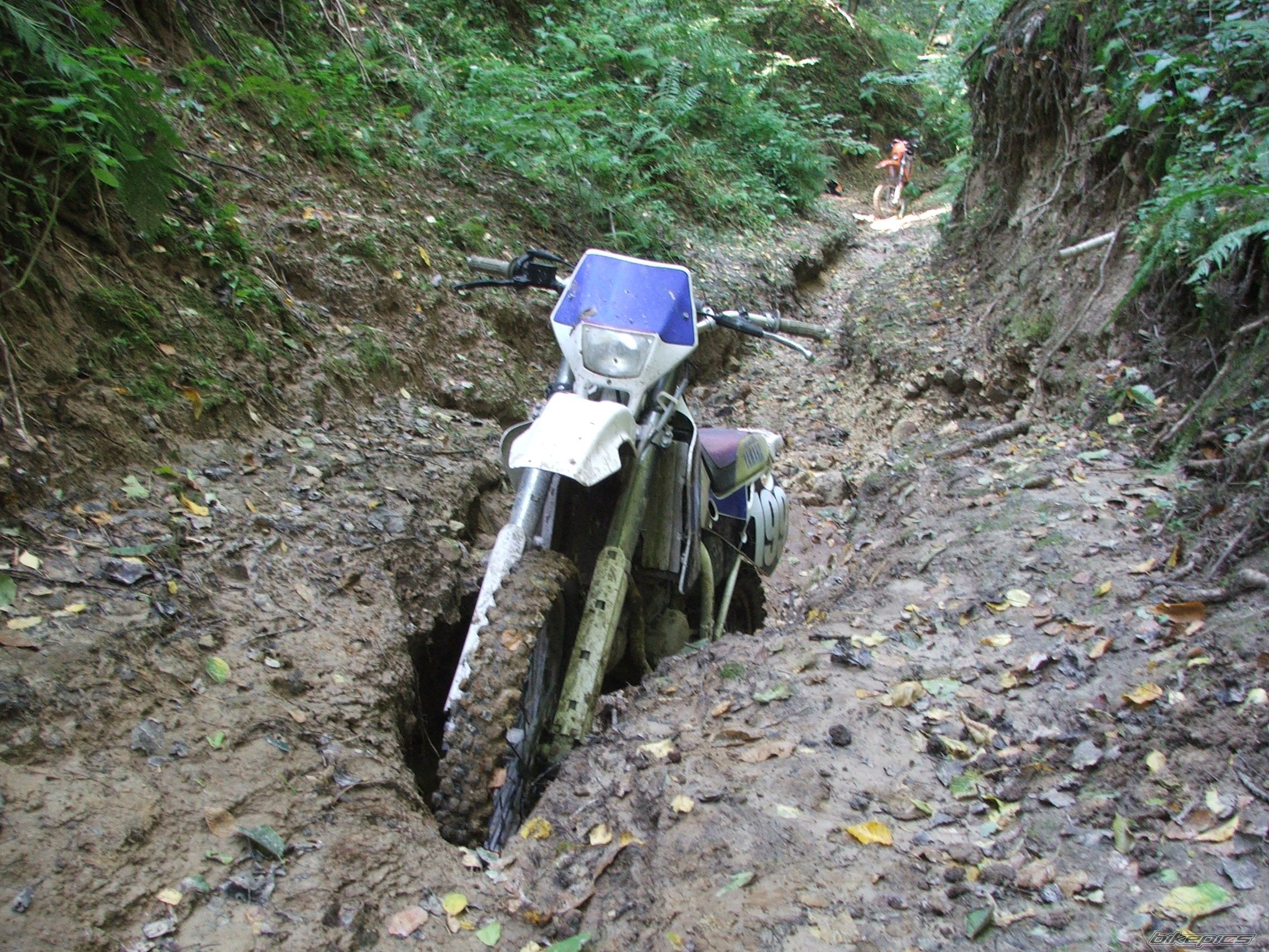Bike Photo 1031340