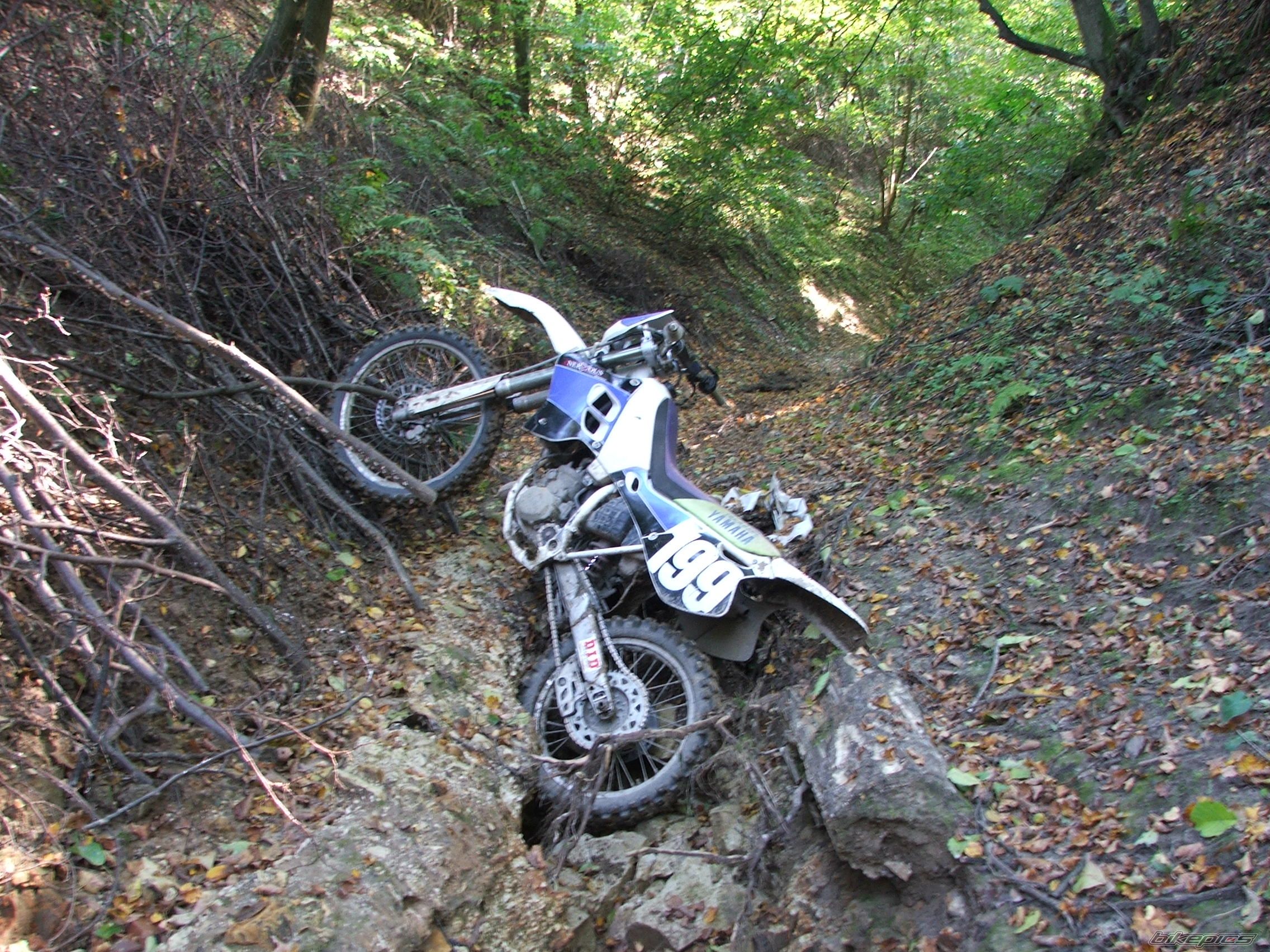 Photo 1031412