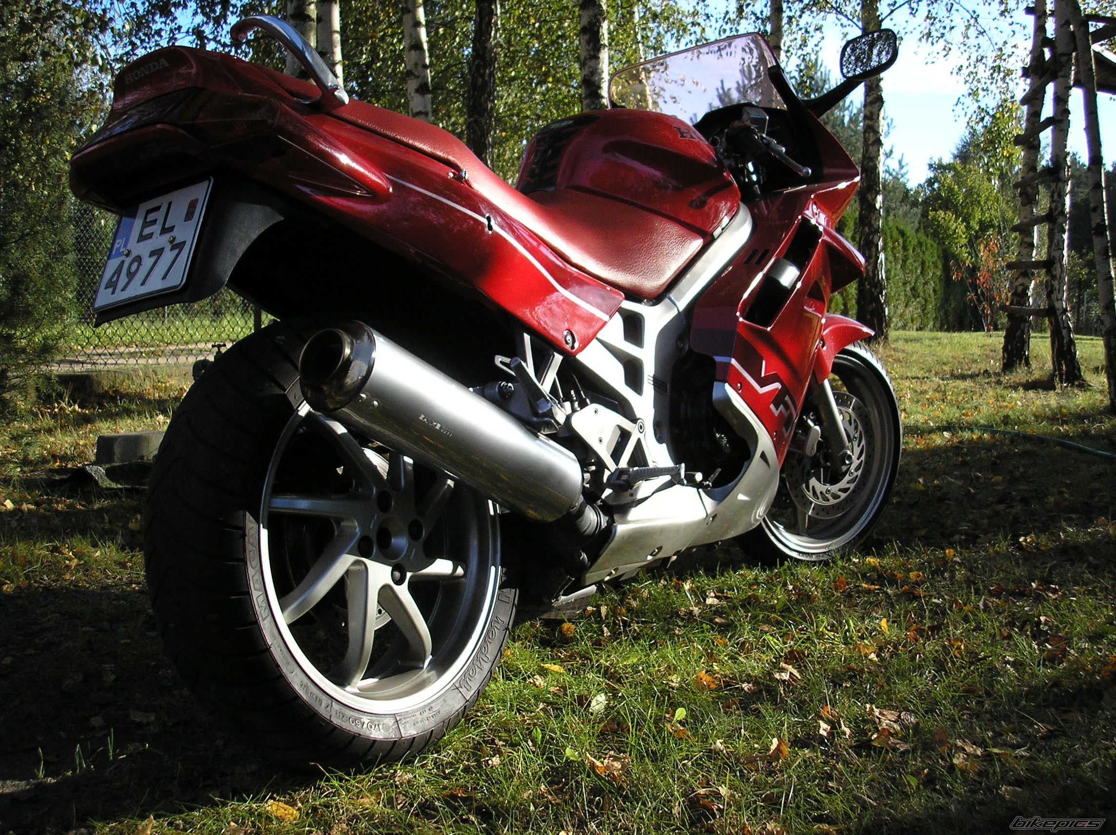 Photo 1031421
