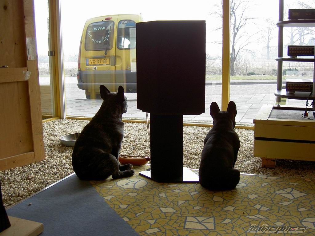 Photo 1031436