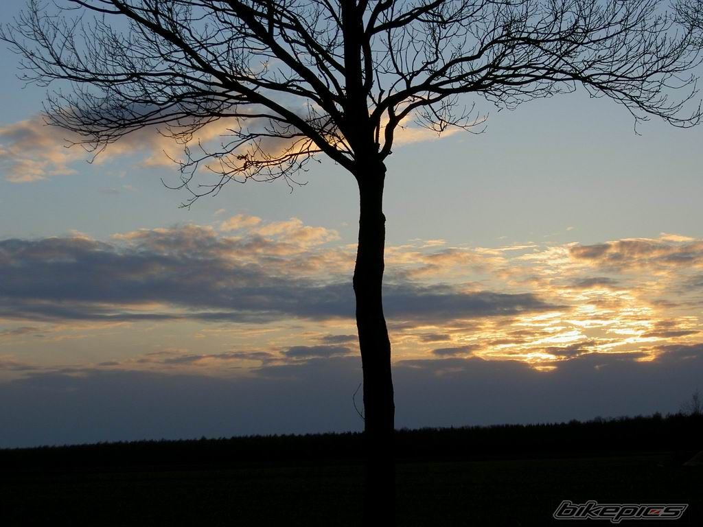 Photo 1031439