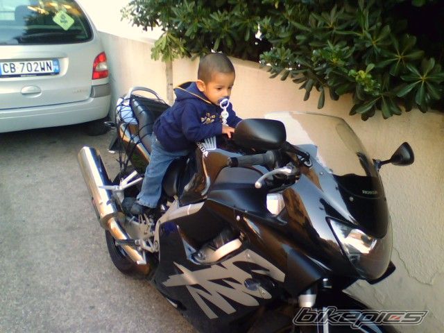 Photo 1031440