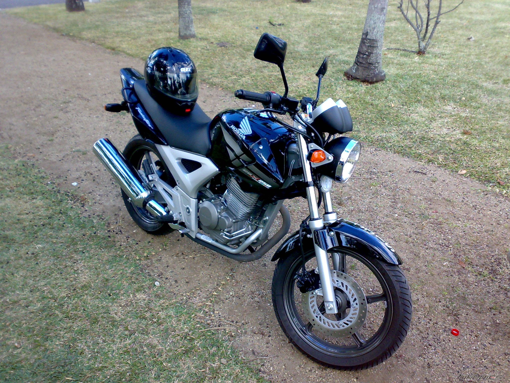Photo 1031454