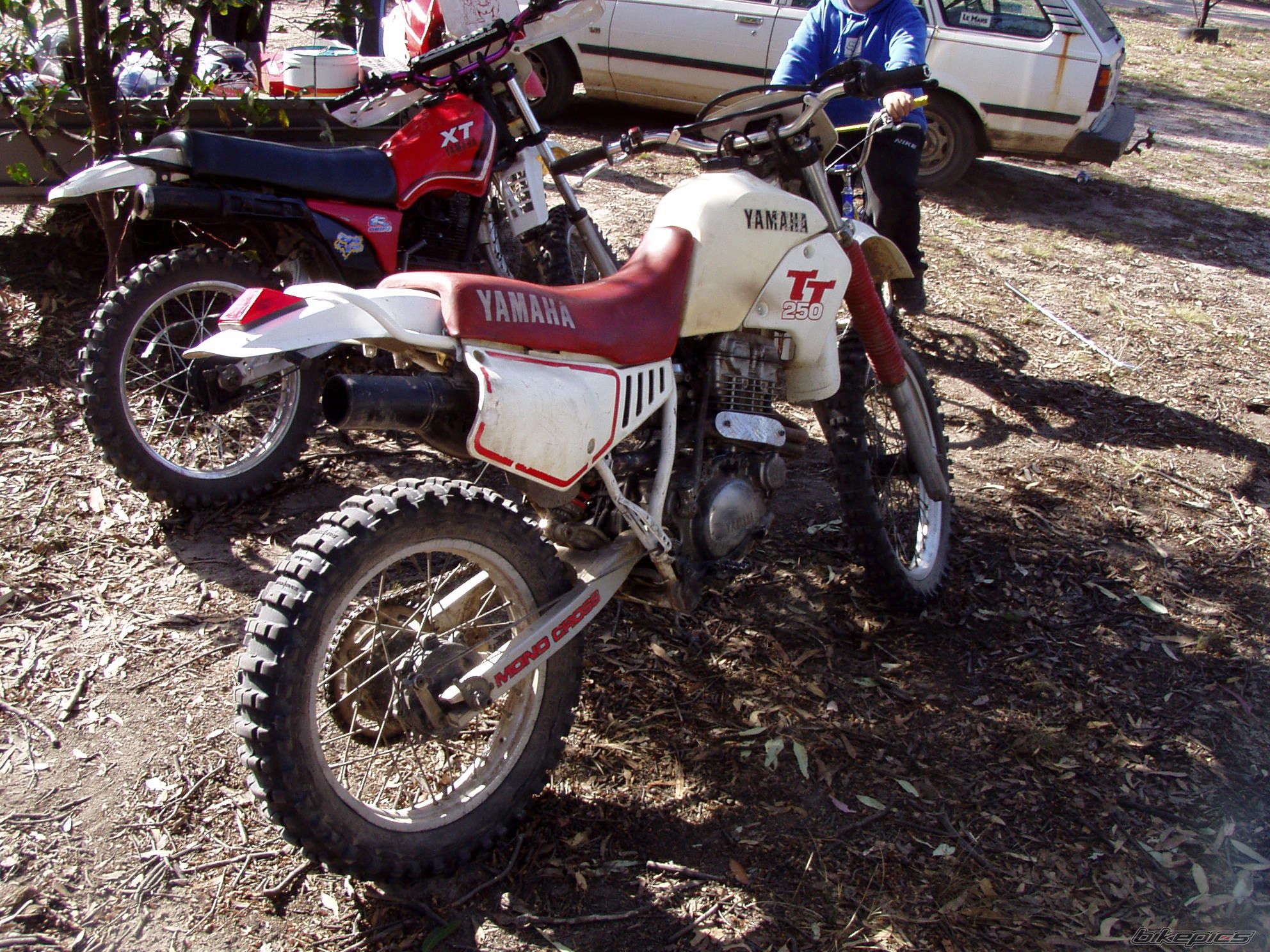 Photo 1031511