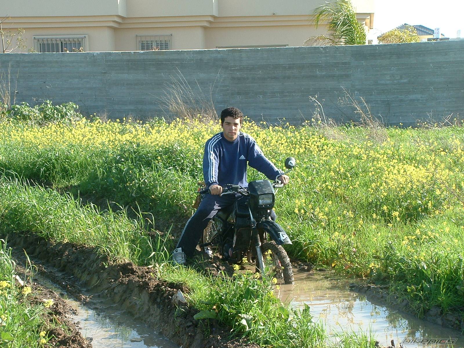 Photo 103155