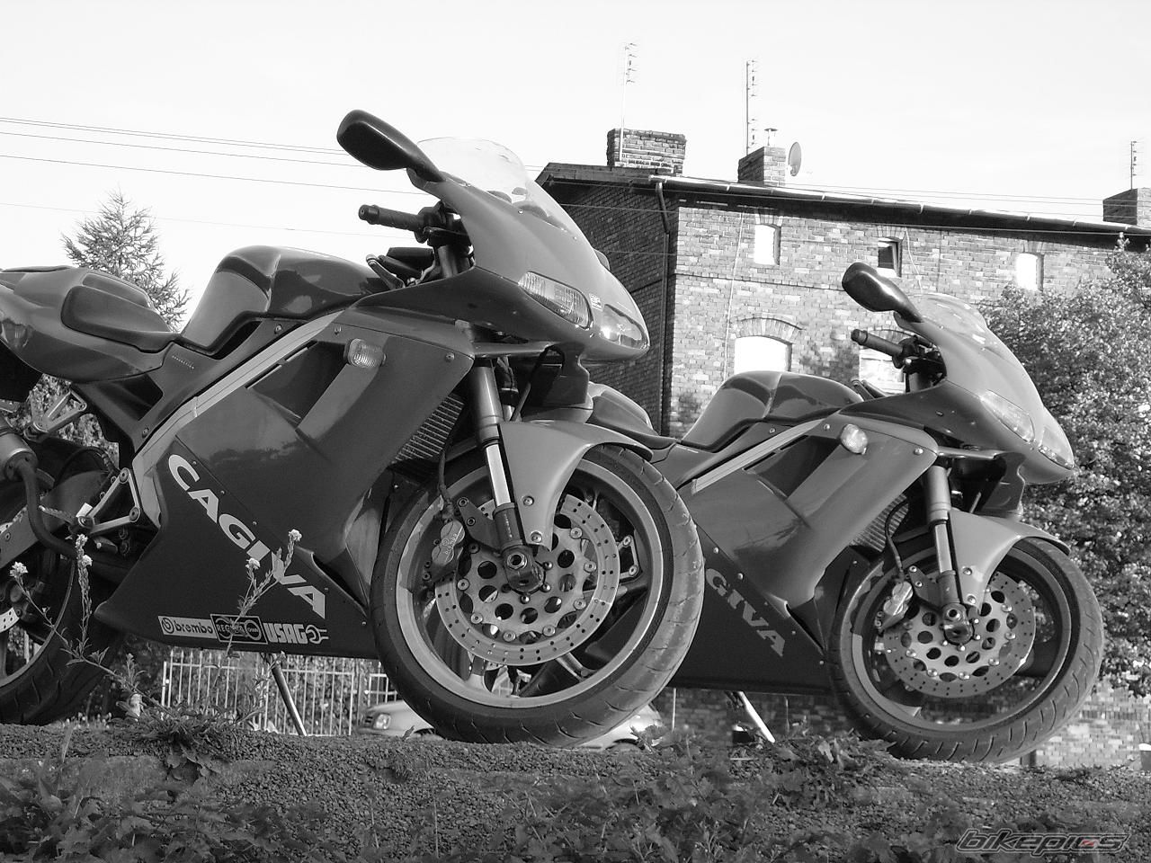 Bike Photo 1031609