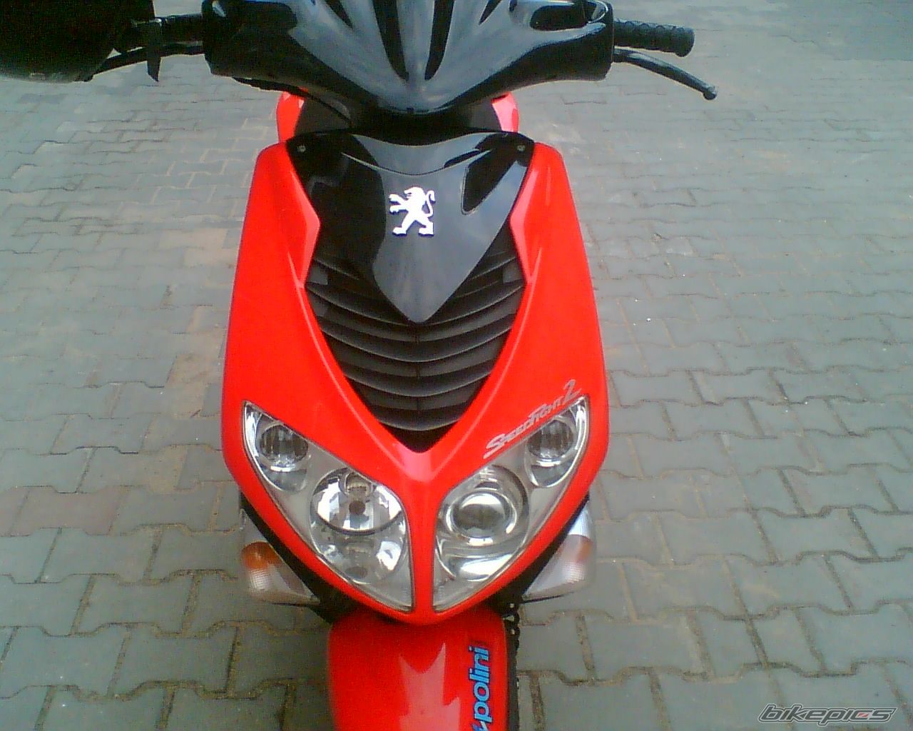 Photo 1031633