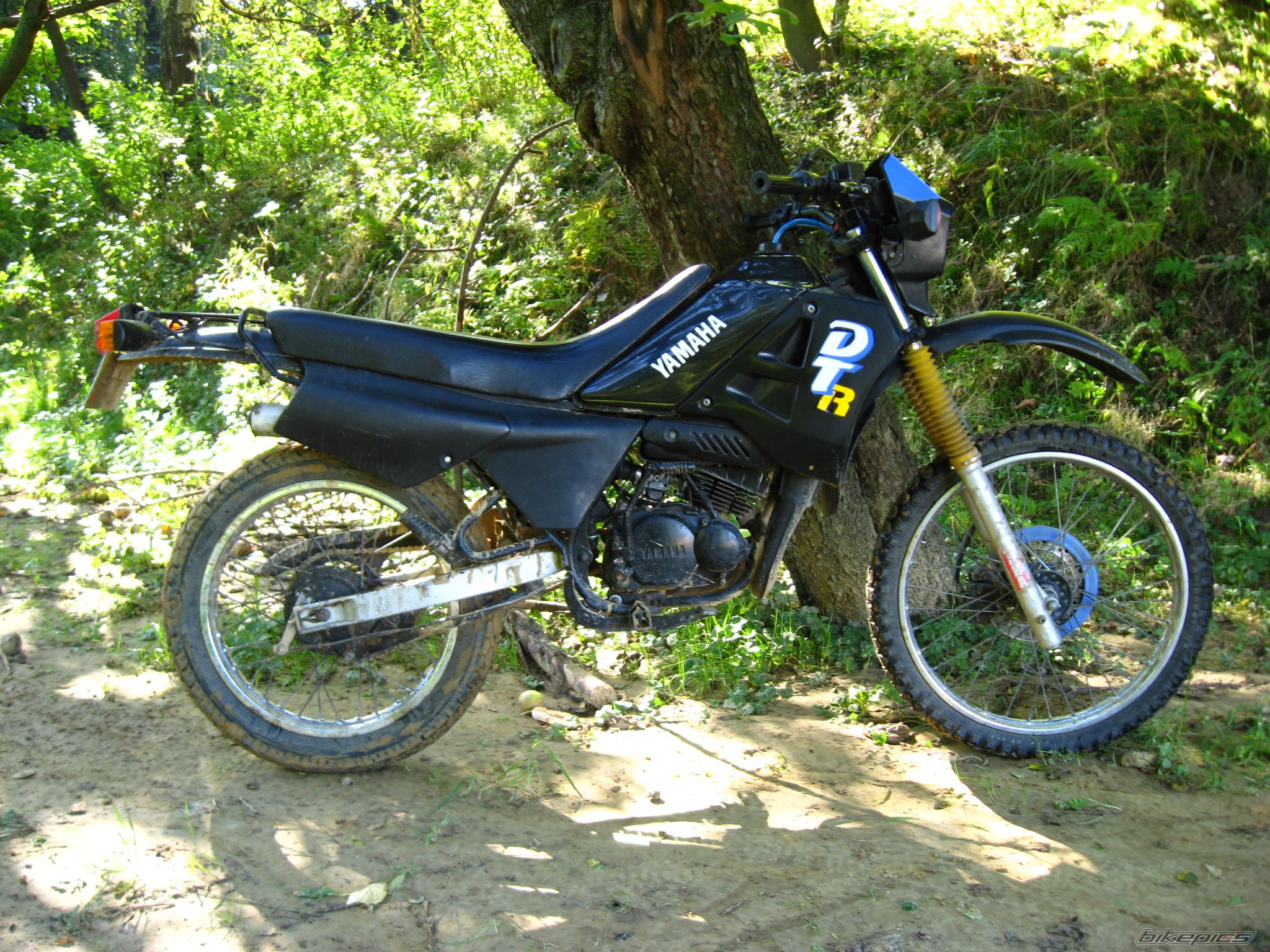 Bike Photo 1031695
