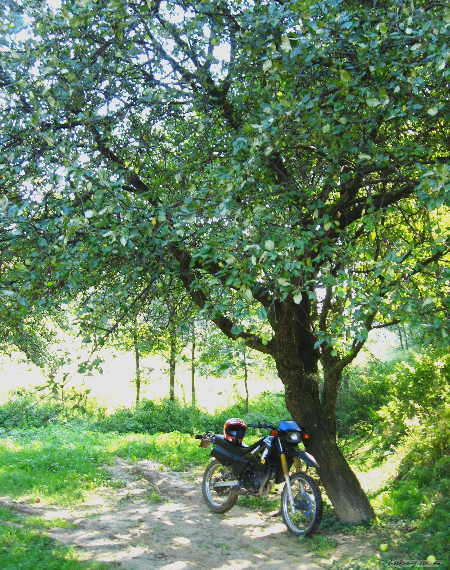 Bike Photo 1031697