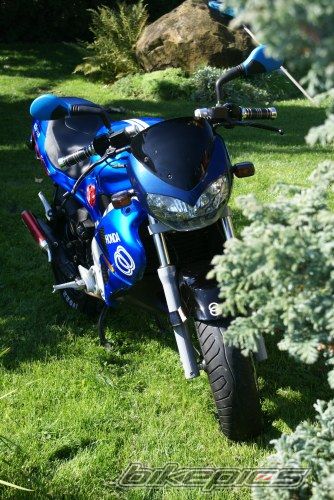 Photo 1031782