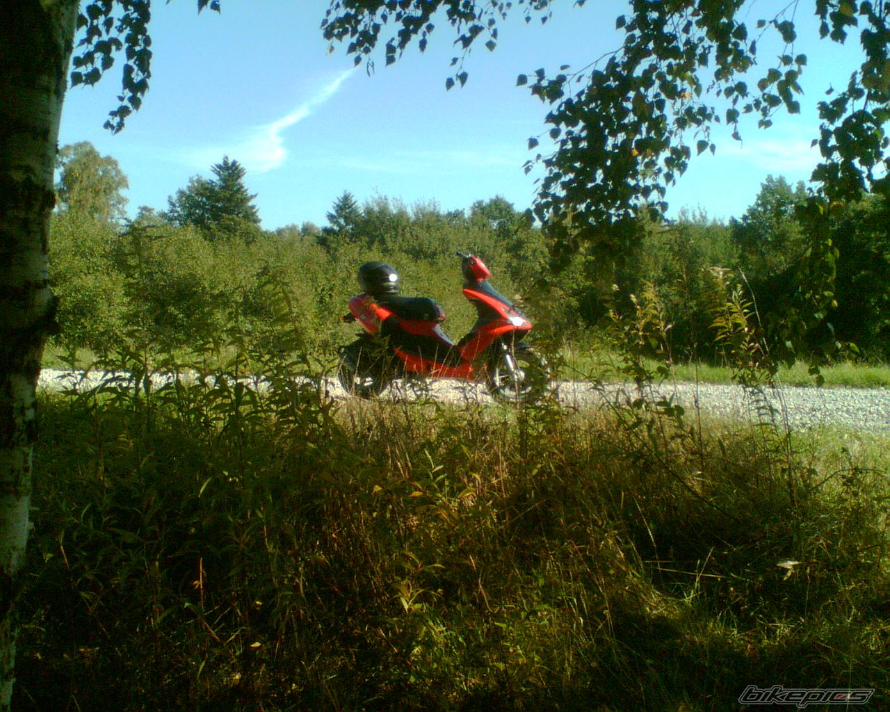 Bike Photo 1031876