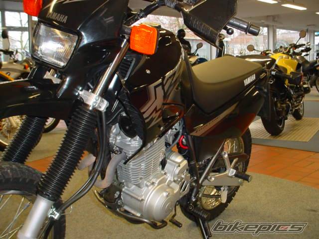 Photo 103198
