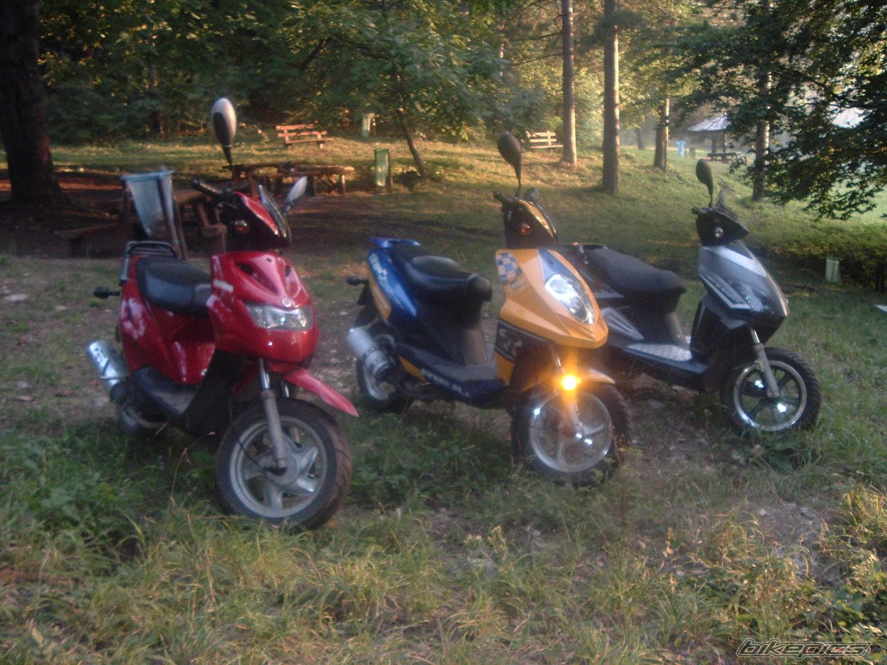 Photo 1032029