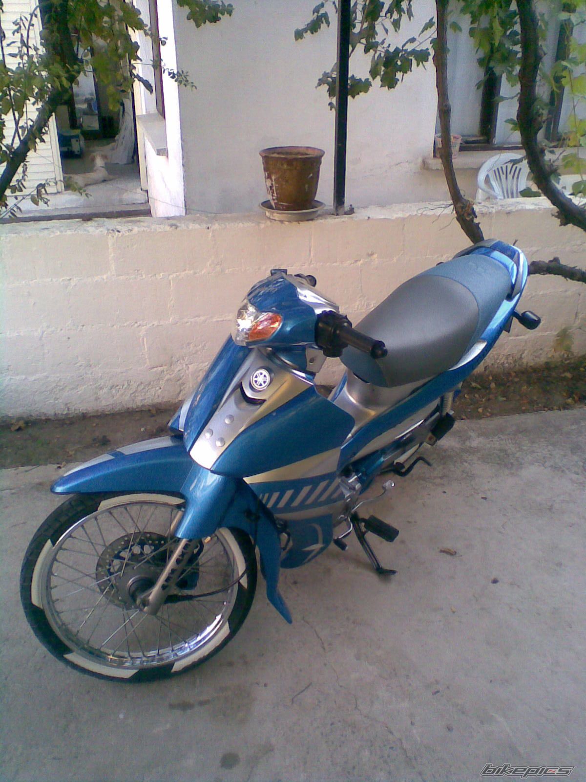 Photo 1032104