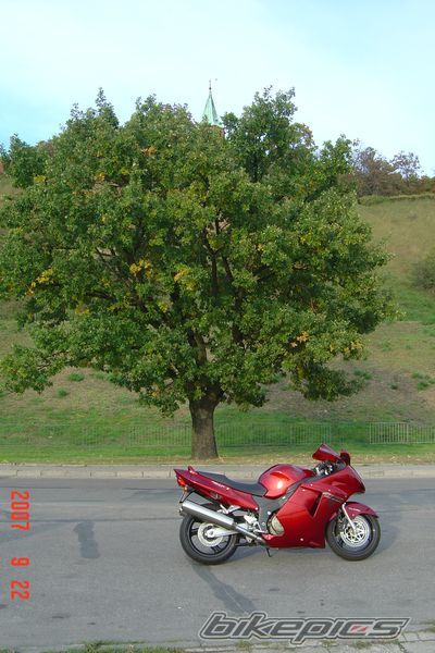Photo 1032191