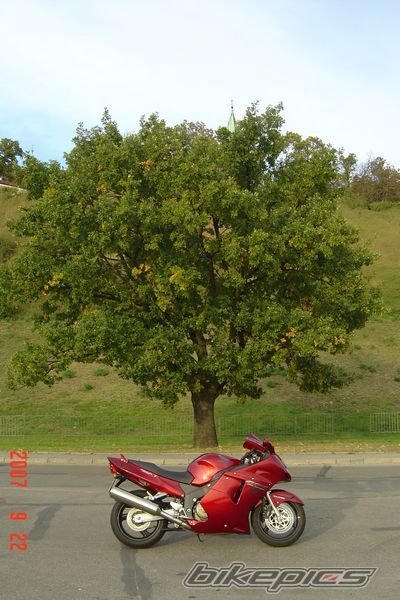 Bike Photo 1032192