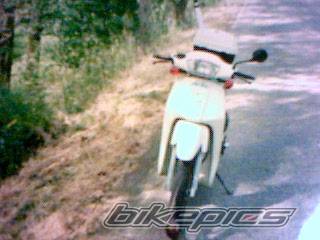 Photo 103220