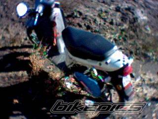 Photo 103224