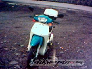 Photo 103227