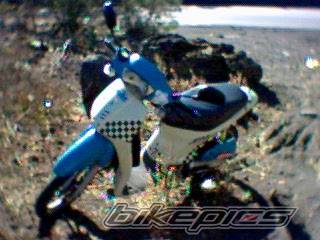 Photo 103229