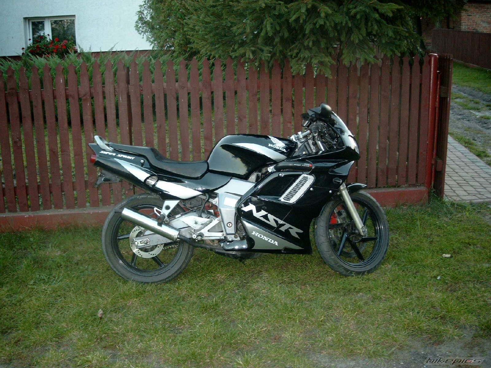 Photo 1032378