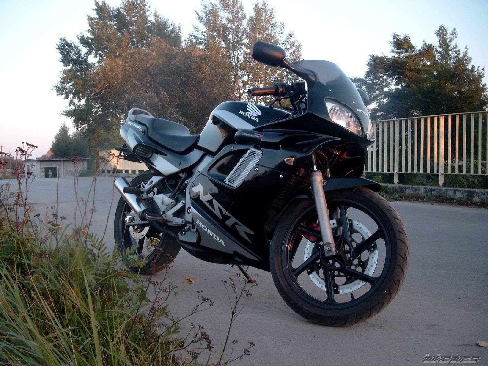 Photo 1032383