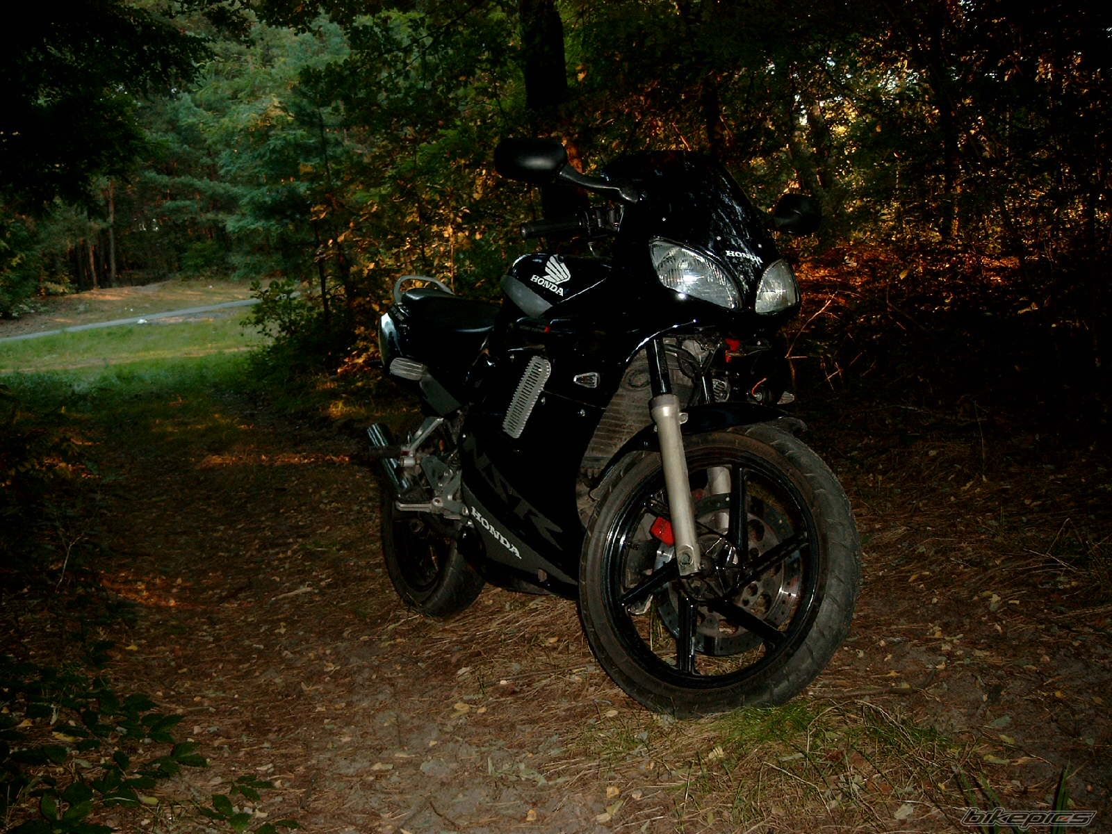 Photo 1032389