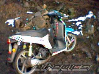 Photo 103239