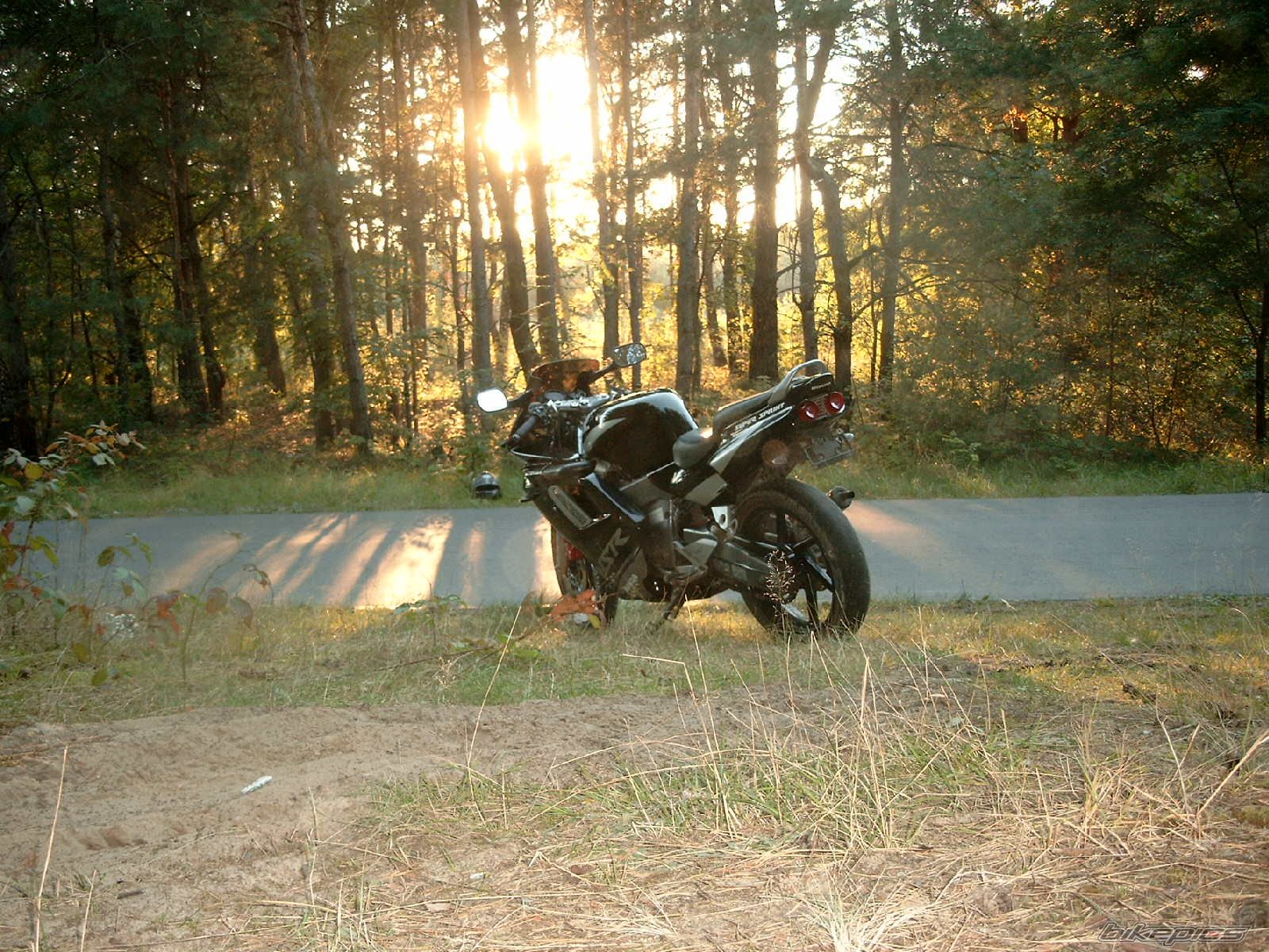 Photo 1032390