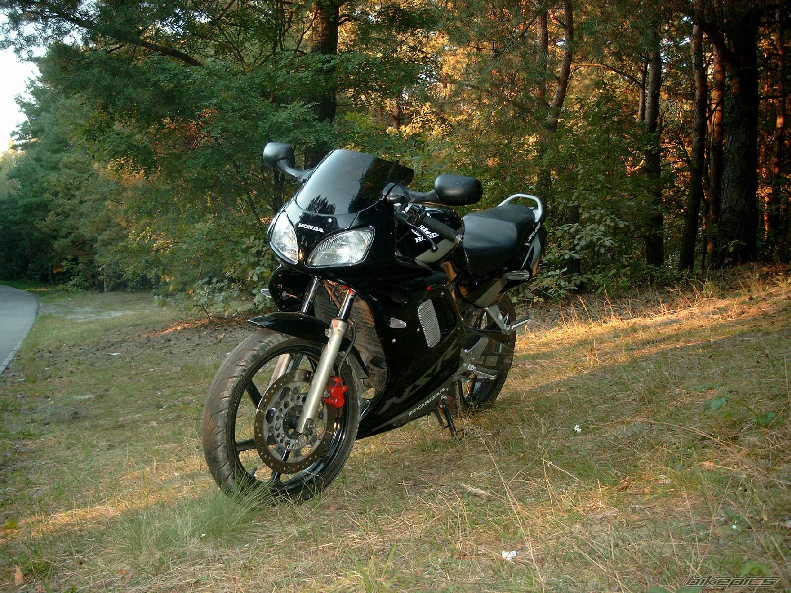 Photo 1032391