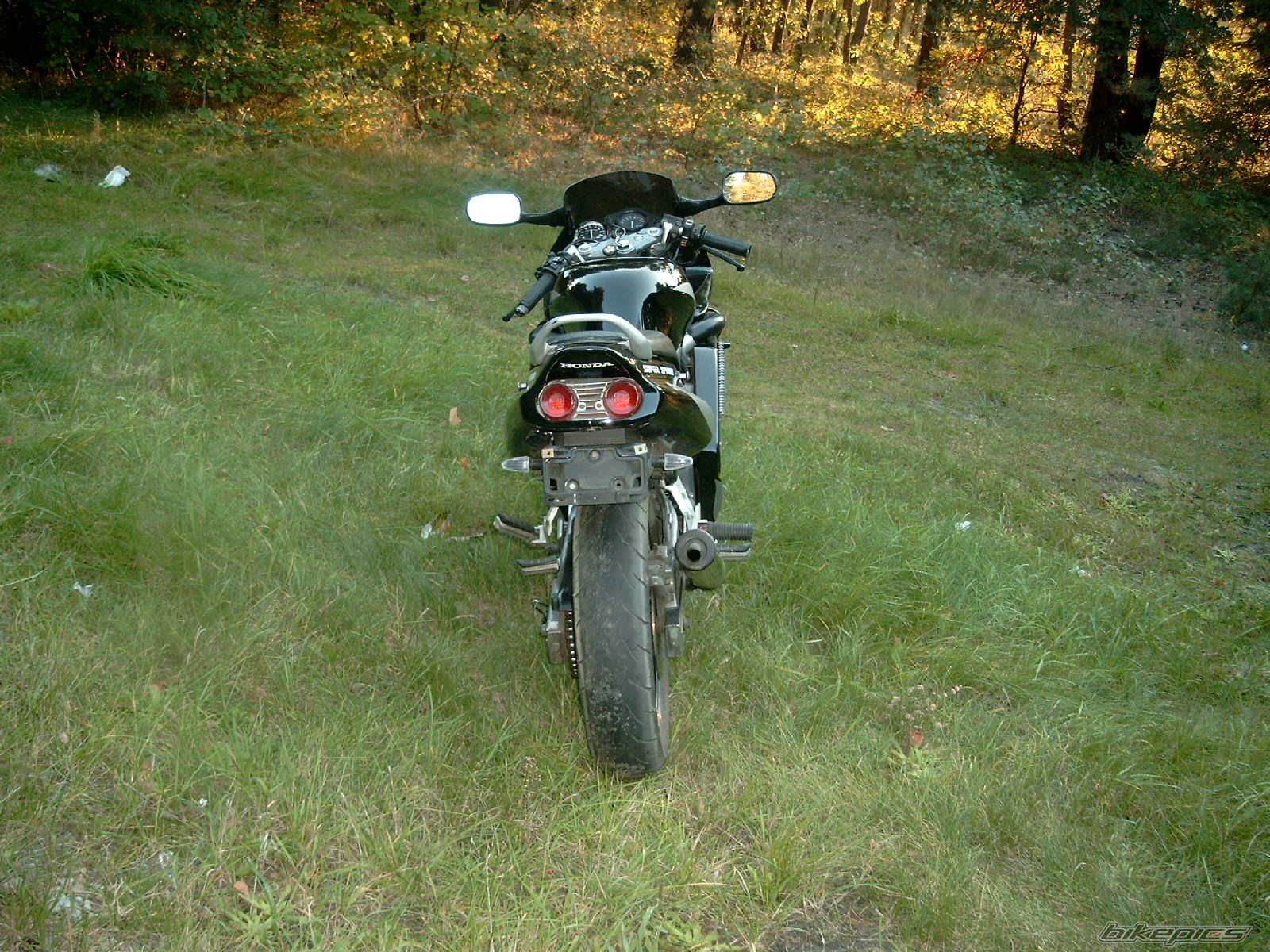 Photo 1032395