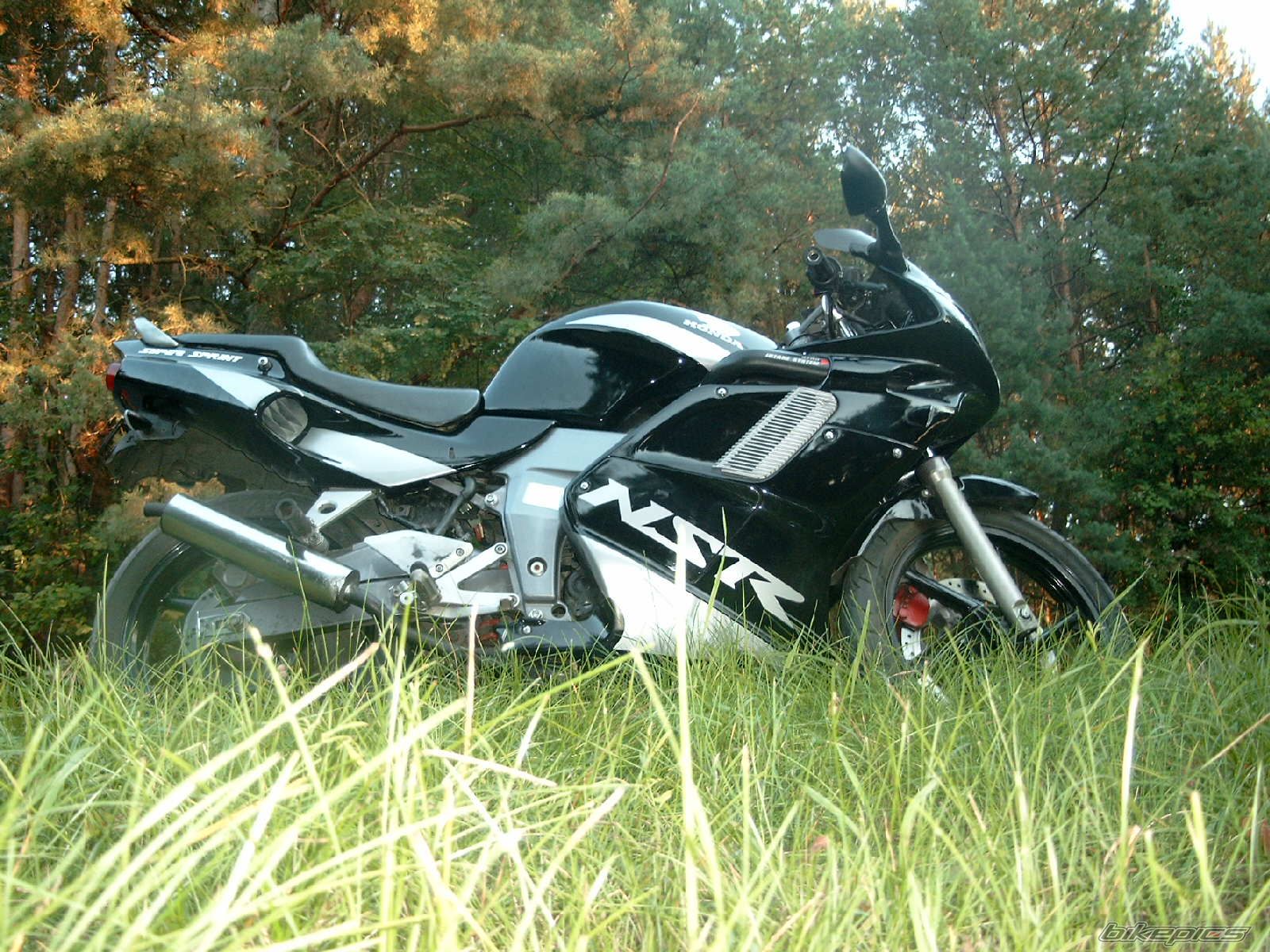 Photo 1032396