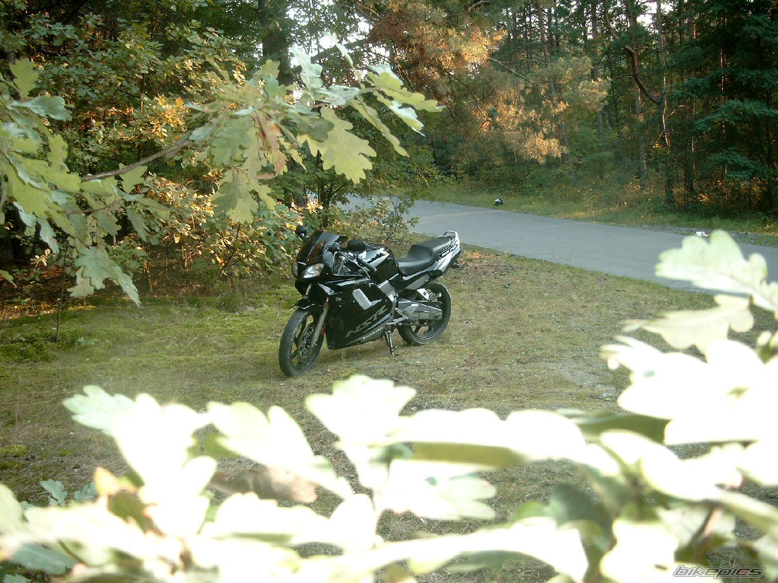 Photo 1032398