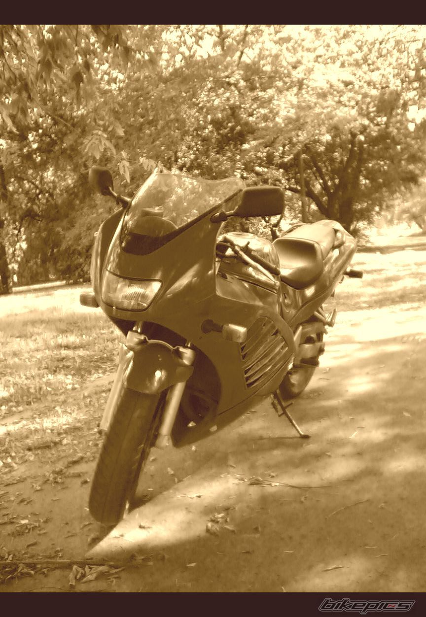 Photo 1032576
