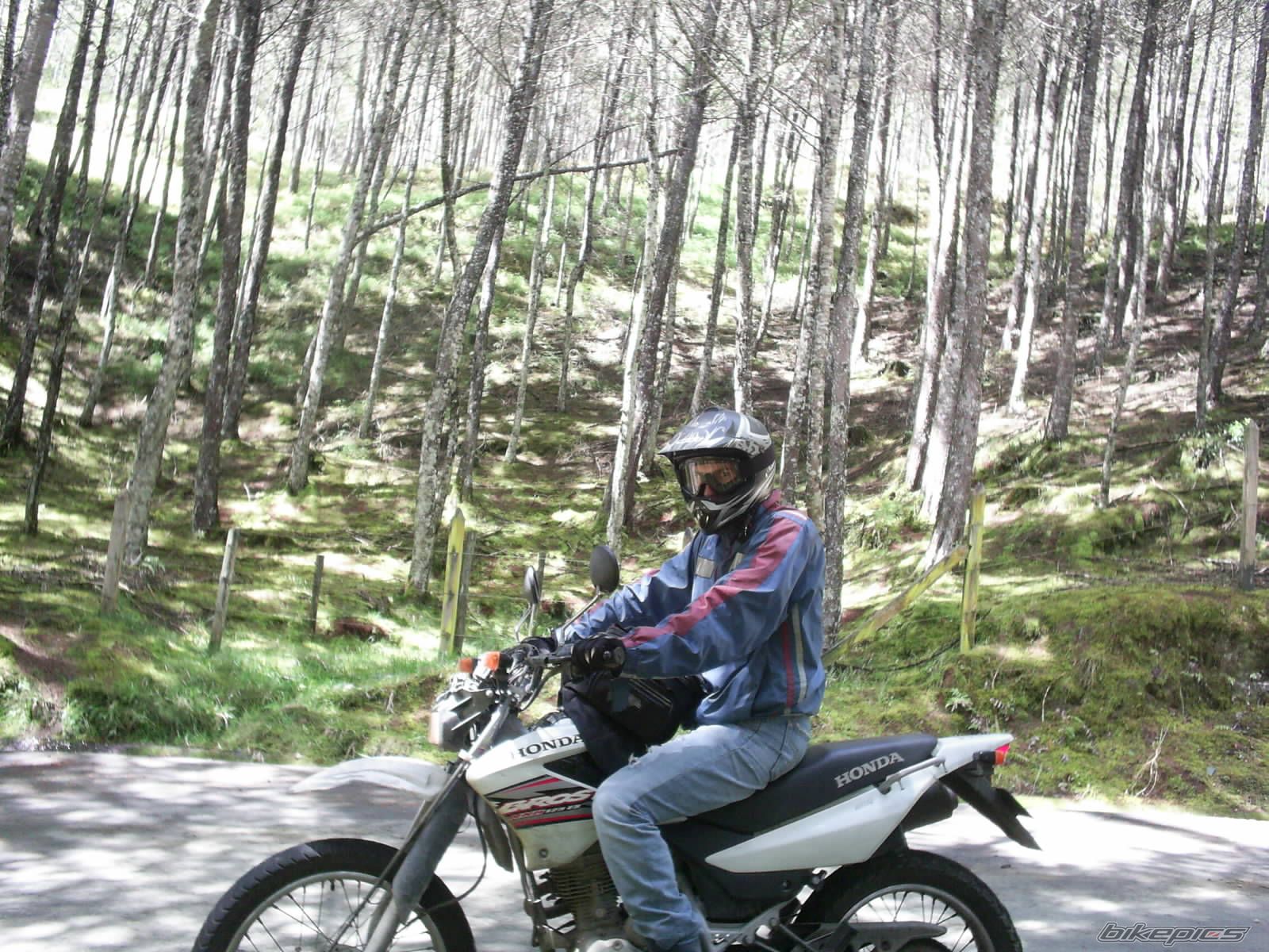 Photo 1032594