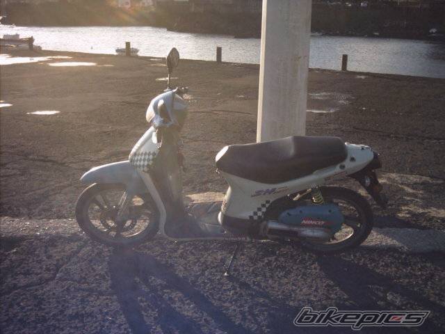 Photo 103260
