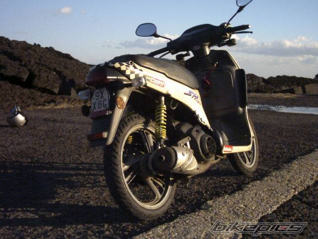 Photo 103264