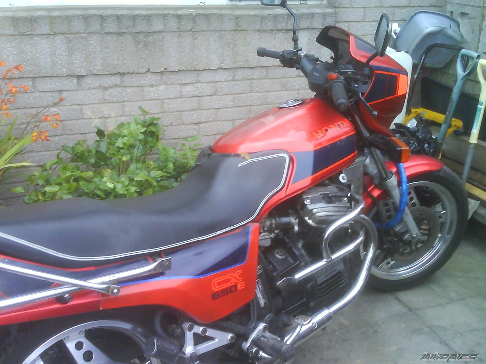 Photo 1032878