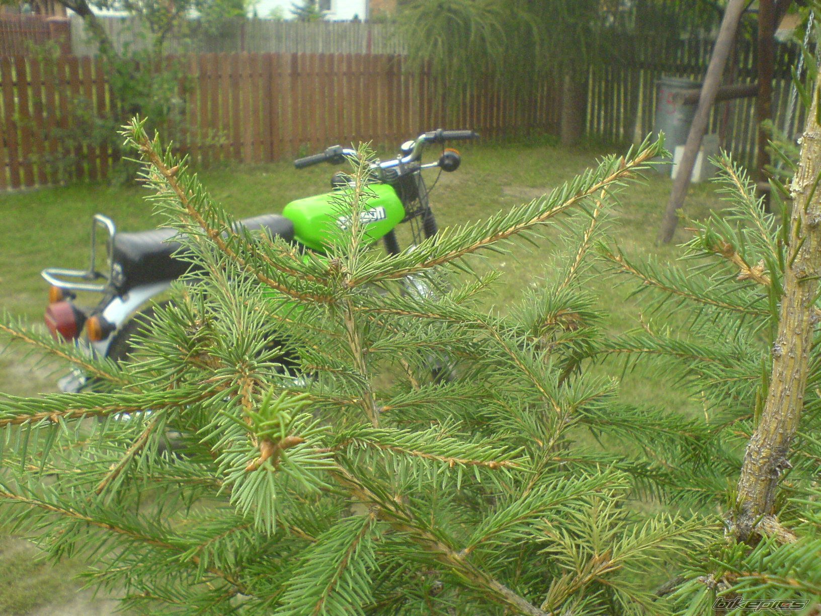 Photo 1032893