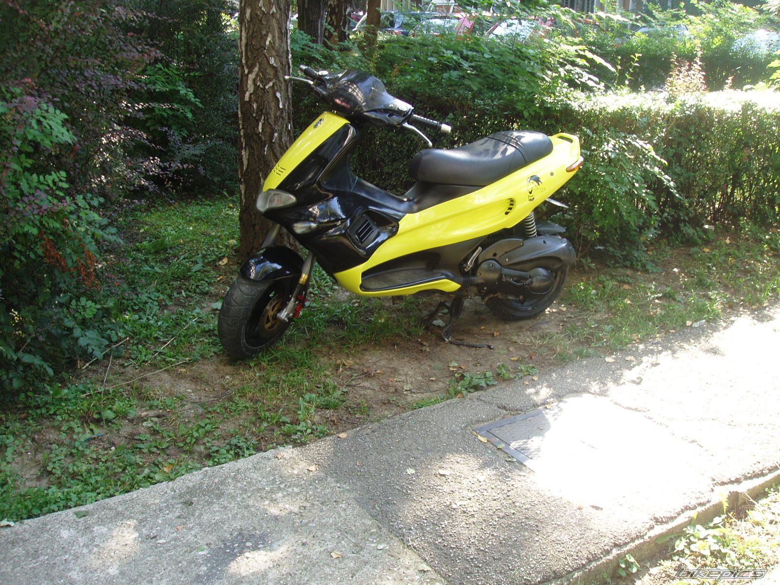 Photo 1032899