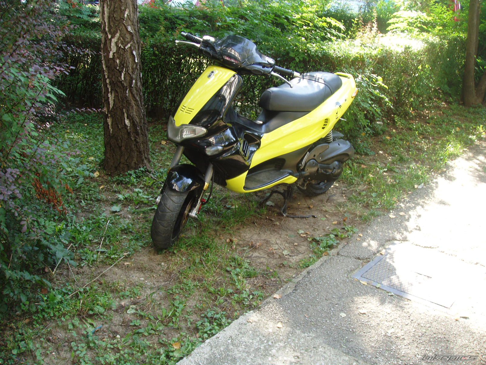 Photo 1032904
