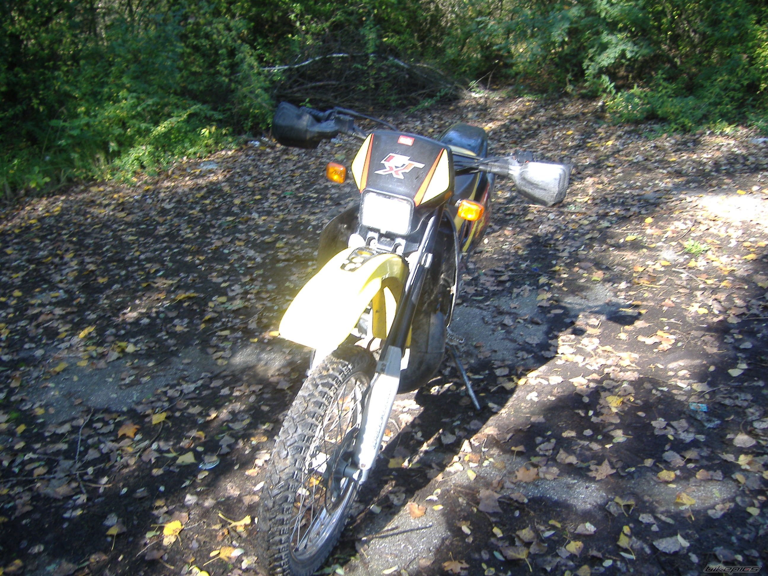 Photo 1032923