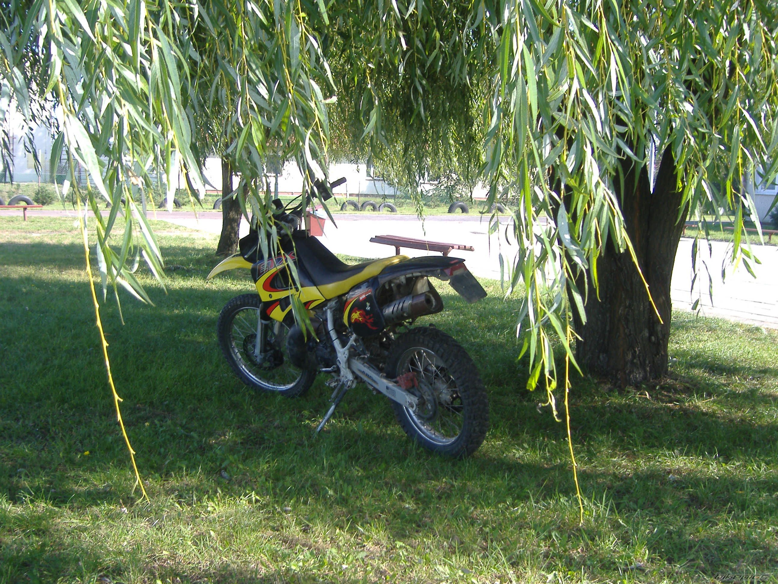 Photo 1032936