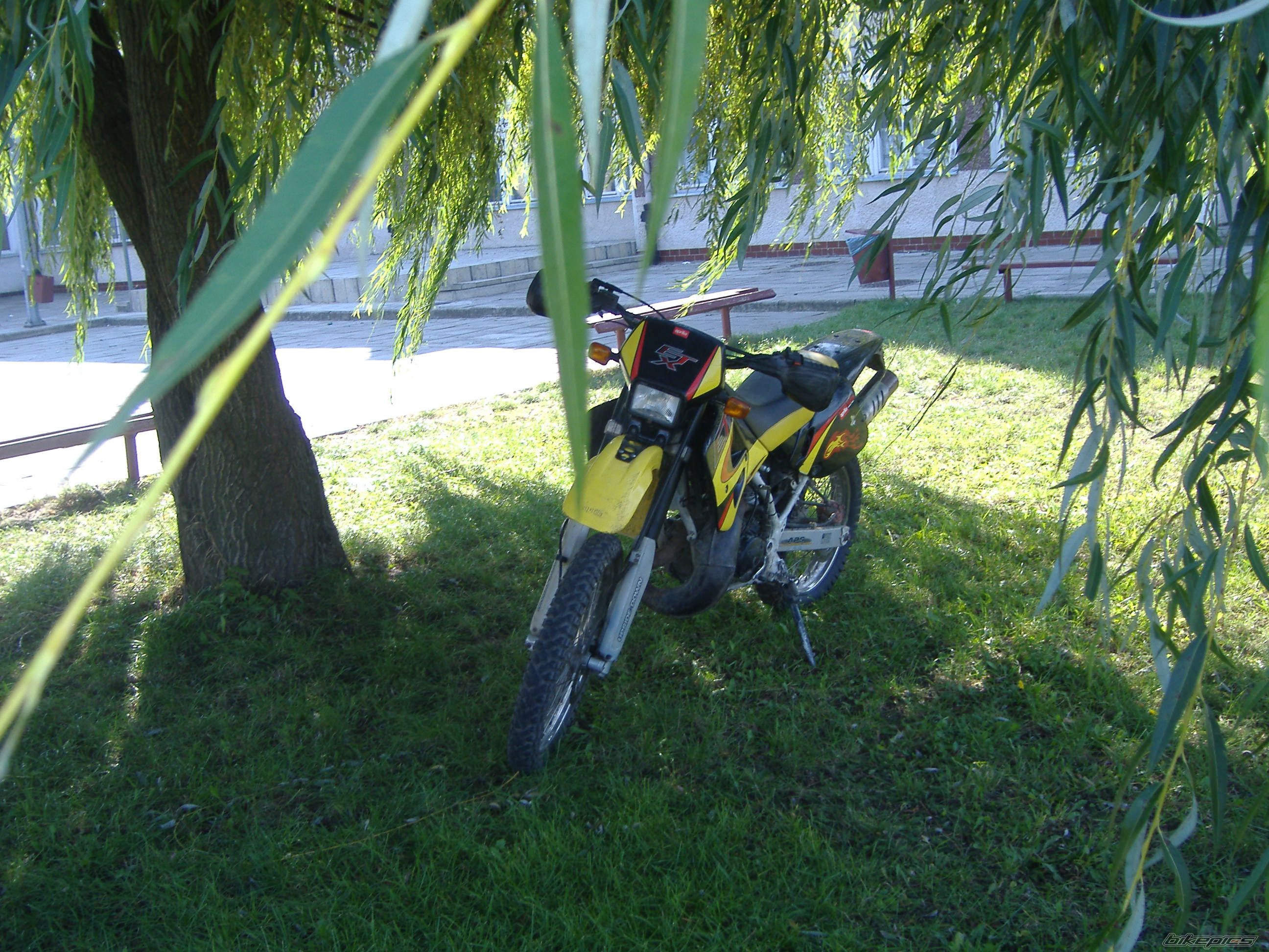Photo 1032938