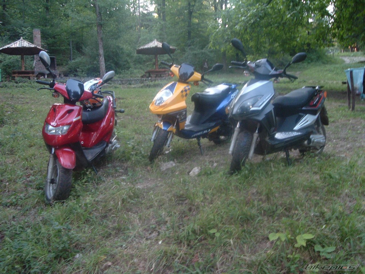 Photo 1032962