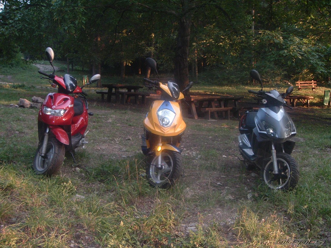 Photo 1032965