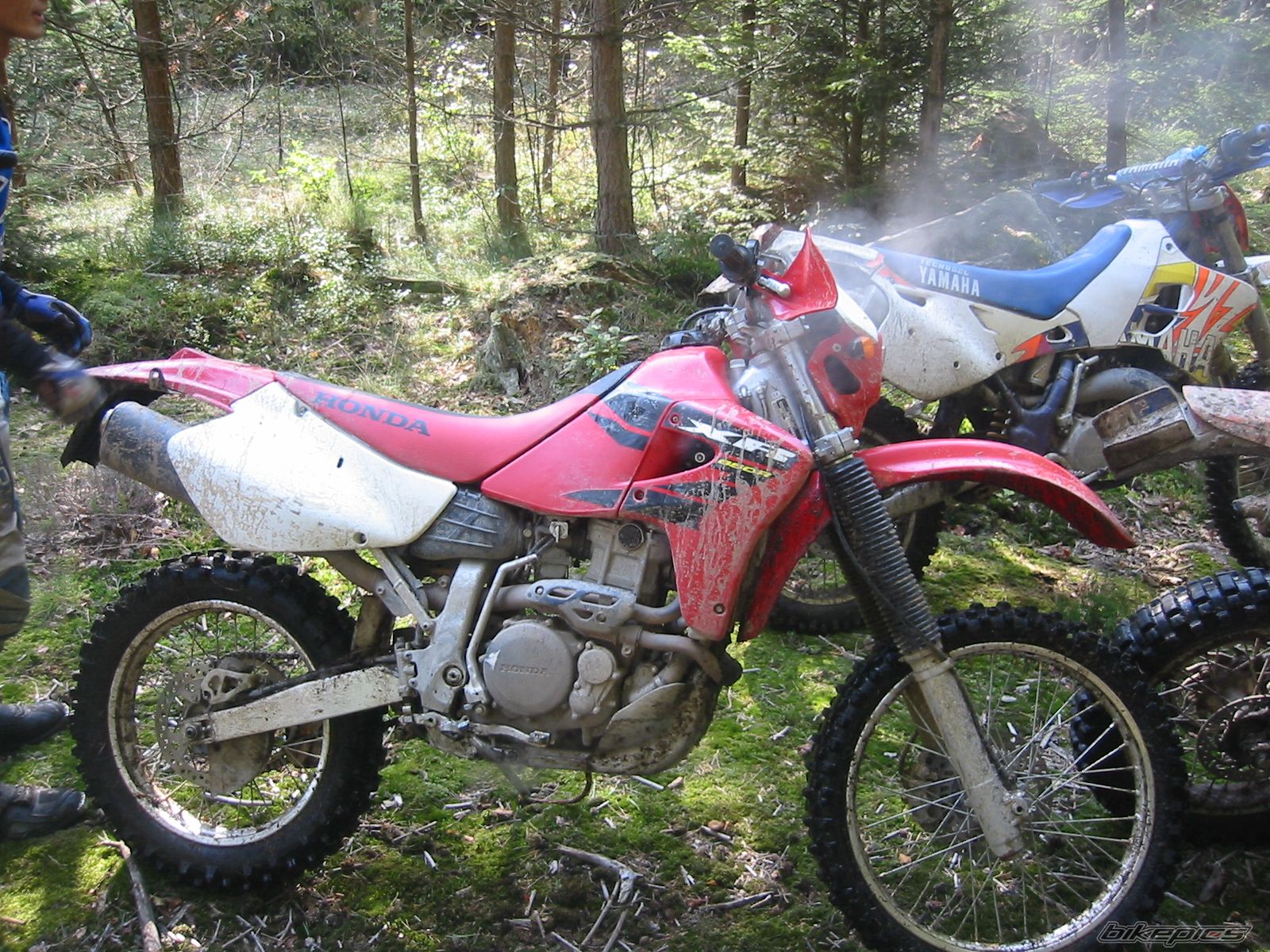 Photo 1033350