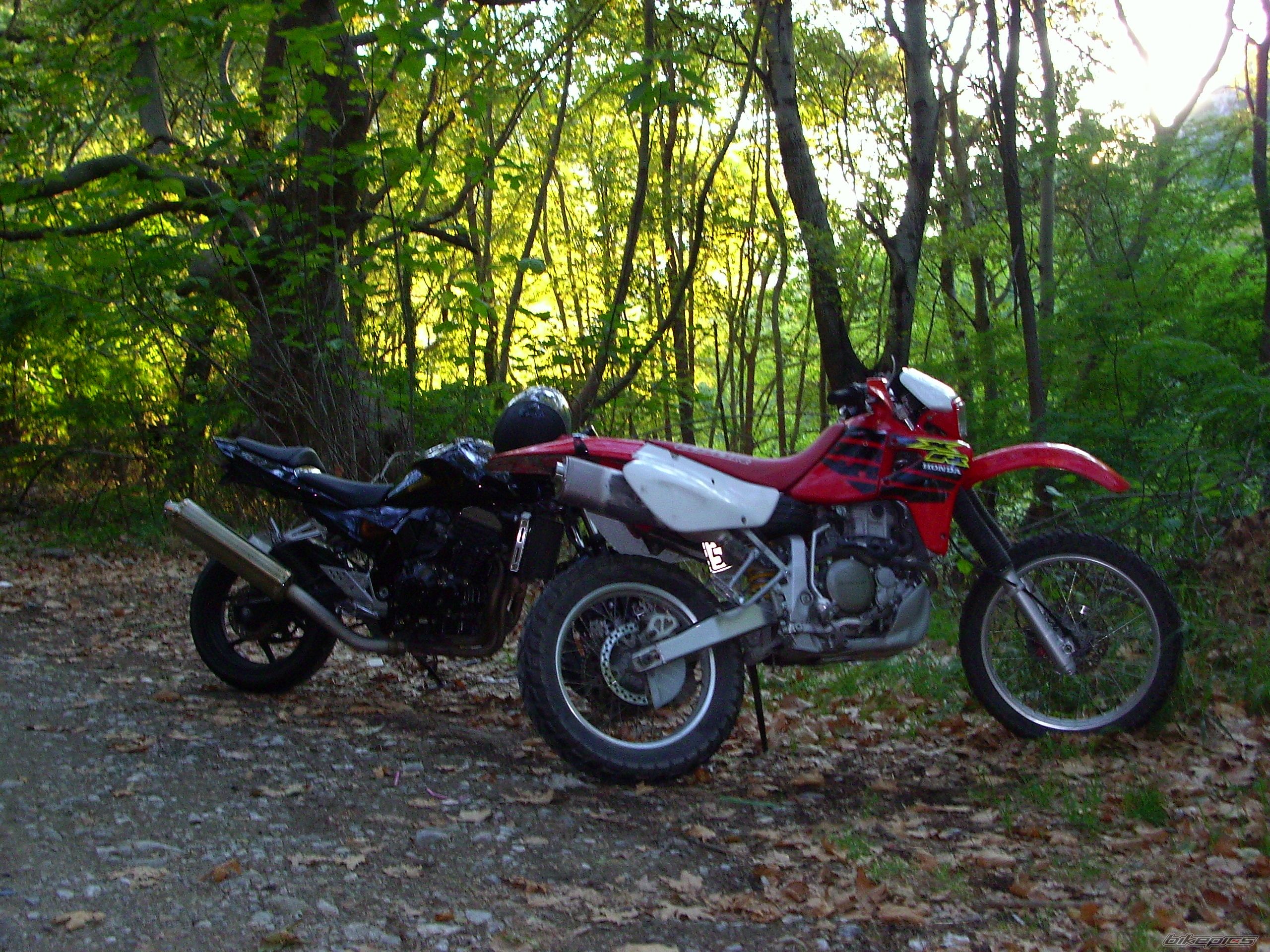 Bike Photo 1033438