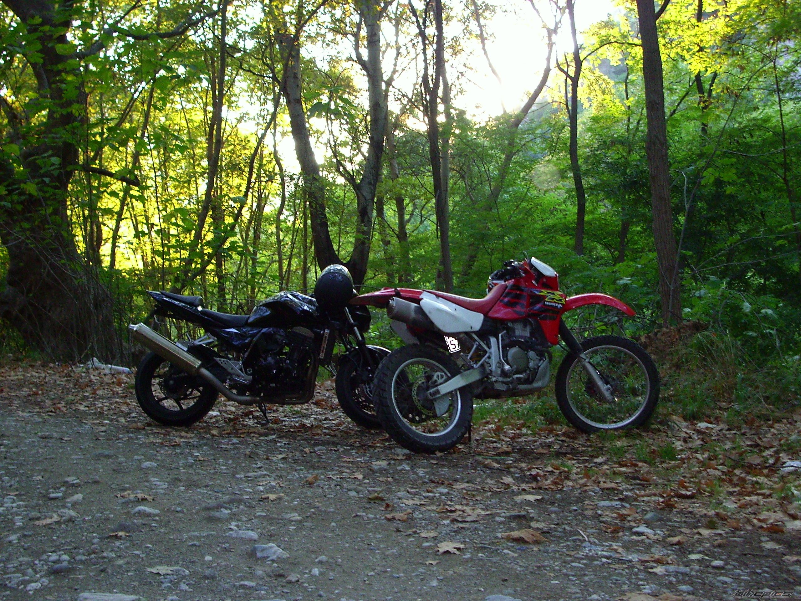 Bike Photo 1033445