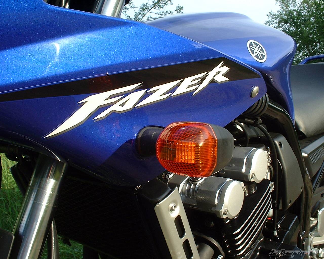 Bike Photo 103345